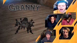 Gamers Reactions to Grannys Pet Spider  Granny [upl. by Hauhsoj]