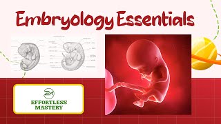 “EMBRYOLOGY 101 Essential Terms You Need to Know’’ [upl. by Sible]