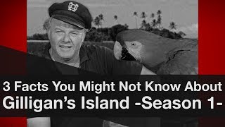 3 Facts You Might Not Know About Gilligans Island Season 1 [upl. by Ahtelat]