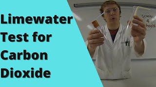 To Investigate the Carbon Dioxide Levels of Inhaled and Exhaled Air  Limewater Test [upl. by Nicodemus259]