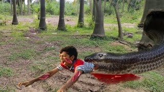 Anaconda Snake in real life 3 video [upl. by Natala]