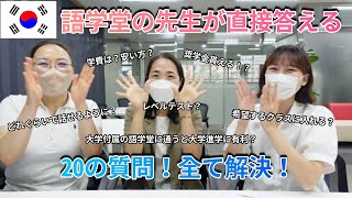 【韓国留学】語学留学考えてる人必見🔥！慶北大学語学堂の先生に答えてもらいました🇰🇷 [upl. by Nepean]