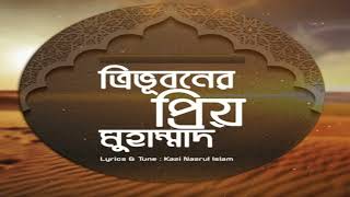 Tri vhuboner priyo mohammad sa  Naat [upl. by Eardna369]