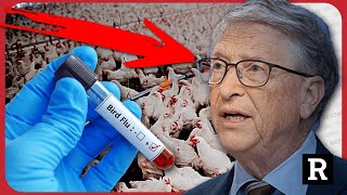 Hang on Bill Gates is now doing WHAT with Bird Flu  Redacted w Natali and Clayton Morris [upl. by Trimmer]