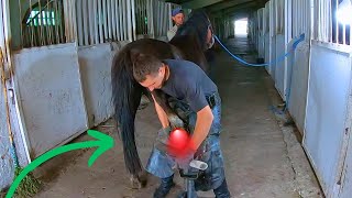 Horse gets INSTANT RELIEF for a VERY SORE FOOT  full horse HOOF Cleaning [upl. by Shabbir]