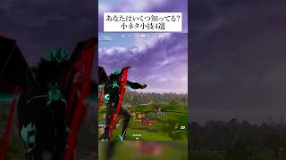 あなたはいくつ知ってる？チャプター2最新の小ネタ小技4選 フォートナイト fortnite 小技 小ネタ [upl. by Radburn986]