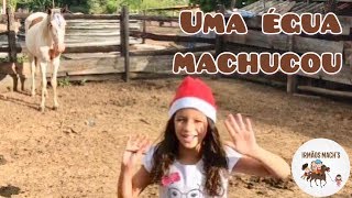 Uma Égua sem Nome Estava Muito Machucada  Irmãos Mach´s [upl. by Hoisch]