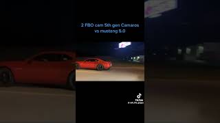 Camaros vs mustang Like and subscribe viralvideo car mustang camaro [upl. by Zat526]