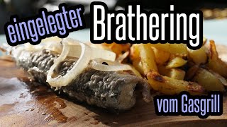 Eingelegter Brathering  Grillhering vom Gasgrill  richtig lecker  BBQ amp Grillen für Jedermann [upl. by Meli209]