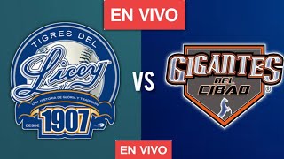 Gigantes del Cibao vs Tigres del Licey En Vivo partido de béisbol [upl. by Ainival621]