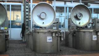 VERTICAL MACHINE FOR THE DYEING AND BLEACHING OF YARN IN CONES mod ATRHT [upl. by Azyl]