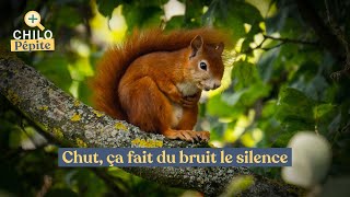 Film  Le Chêne  Chut ça fait du bruit le silence🌳 [upl. by Norrehc]