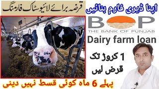 bank of punjab dairy farm loan 2021  how to apply dairy farm loan  live stock loans ranaadsameer [upl. by Adamek]