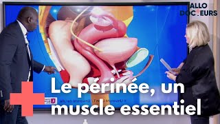 Rééducation Abdominale après la grossesse – Séance 5 [upl. by Borden]