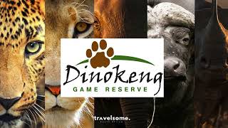 Dinokeng Game Reserve Big Five Safari Holiday Homes with Travelsome [upl. by Arraek678]