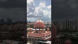 Amazing Facts About Malaysia 🇲🇾 shorts facts malaysia [upl. by Annahsed]