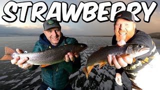 Ice Fishing for BIG Trout at Strawberry Reservoir [upl. by Sollie]