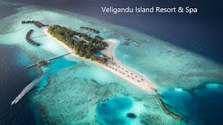 Maldives Hotels  Veligandu Island Resort amp Spa [upl. by Squier]