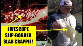 How to catch Crappie with Garmin LiveScope and Slip Bobbers [upl. by Lodhia862]