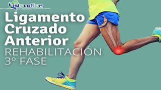 Ligamento Cruzado Anterior  3º FASE  REHABILITACIÓN con EJERCICIOS  Fisiolution [upl. by Meg]