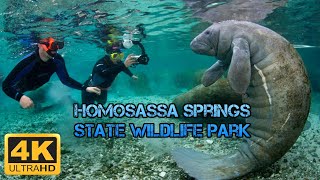 A Scenic Tour of the Ellie Schiller Homosassa Springs Wildlife State Park Homosassa Springs FL [upl. by Nimocks]