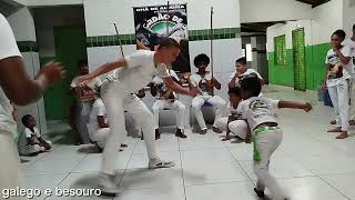 Cordão de ouro Chã de Alegria  Treino de capoeira com professor nego dé [upl. by Veno]