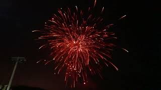 The Dogz Compound Firework From Celtic Fireworks  CCP019 [upl. by Ecirtac643]