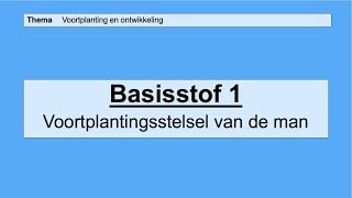 VMBO 3  Voortplanting en ontwikkeling  Basisstof 1 Het voortplantingsstelsel van de man [upl. by Enaenaj]