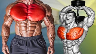 How to Get a Bigger Chest Fast 6 Exercise [upl. by Prinz834]