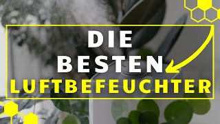 Luftbefeuchter TEST  Die 3 besten Luftbefeuchter im Vergleich [upl. by Eadrahc]