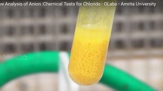 Chemical Tests for Chloride  MeitY OLabs [upl. by Ahsenroc]