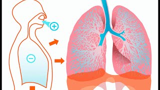 Principales enfermedades pulmonares ocupacionales [upl. by Waddington]