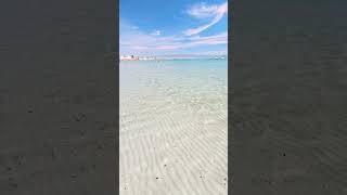 POETTO CAGLIARI ORE 14 💙🏖️Sardegna sardiniatravelshortvideo travel sardiniansea beach summer [upl. by Latrell]