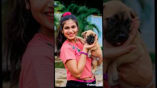 එමාෂාගේ ලස්සන කුක්කු පැටව් 🐕🦮🐕‍🦺 emasha hans with dogs [upl. by Pahl]