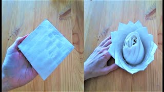 2 IDEIAS DE DECORAÇÃO COM GUARDANAPO DE PAPEL DOBRADO  2 PAPER NAPKIN FOLDING TUTORIALS [upl. by Blackburn]