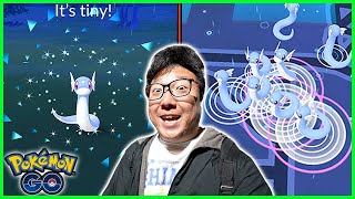 Dratini Spotlight Hour in Pokemon GO [upl. by Adnahsor]