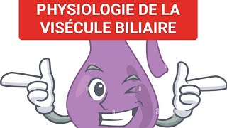 PHYSIODIGESTIVE🍔 SÉCRÉTION BILIAIRE2ÈME MÉDECINE ✅UNITÉ2👅🧆 [upl. by Abdu]