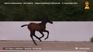 Lot 22 v Feliciano  Denario [upl. by Carleen]