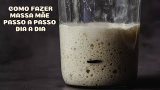 Como fazer massa mãe passo a passo  guardar e activar depois do frio [upl. by Maher]