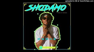 Asake – Shodamo Prod Antras [upl. by Neelyt]