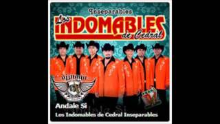 Indomables Del Cedral  Sacame Si Puedes 2013 [upl. by Templas787]