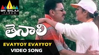 Thenali Songs  Evayyoy Evayyoy Video Song  Kamal Haasan Jyothika Meena  Sri Balaji Video [upl. by Sucramej]