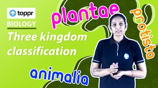 Three kingdom classification  Classification and nomenclature  Class 11 Biology [upl. by Ahsitniuq993]