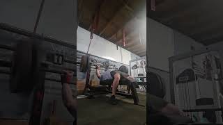 330lbs reverse band bench 176lbs body weight elitefts chestexercises chestworkout [upl. by Shirlee]