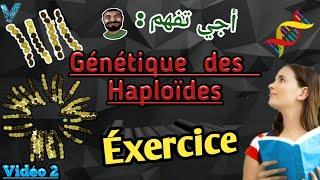 Vidéo 2 Génétique des Haploïdes en Arabe SVI S4 Exercice facile et important [upl. by Dalston208]