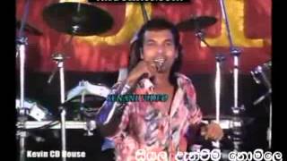 shohan perera with flash back sada hiru tharu pavathina thuru song [upl. by Noynek]