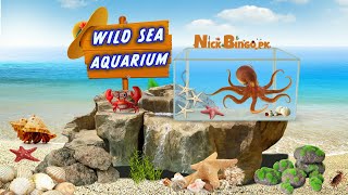 Tide Pool Aquarium  Nick Bingo pk [upl. by Olegna811]