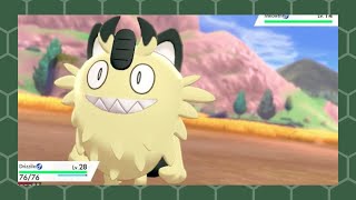 LIVE Shiny Galarian Meowth after 1134 REs full odds Sword and Shield [upl. by Oxford307]