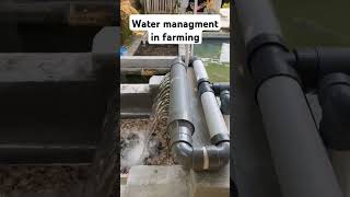 drip irrigation  Desi Jugad  Indian Farmer  shorts  yummyfarm  farmya  TechnicalFarming [upl. by Toffic]