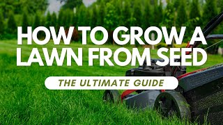 How to Grow a Lawn from Seed [upl. by Enneicul]